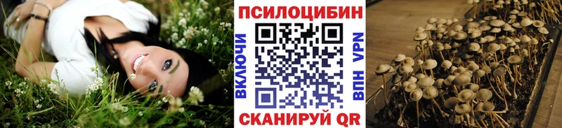 Галлюциногенные грибы мухоморы  Шали 