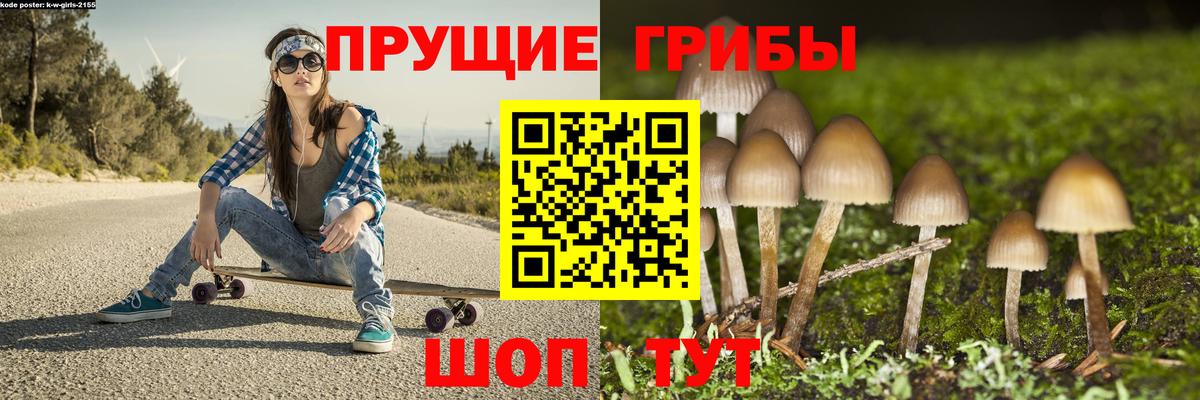 Галлюциногенные грибы мухоморы  Вход с VPN  Галлюциногенные грибы Psilocybine cubensis  Шали 