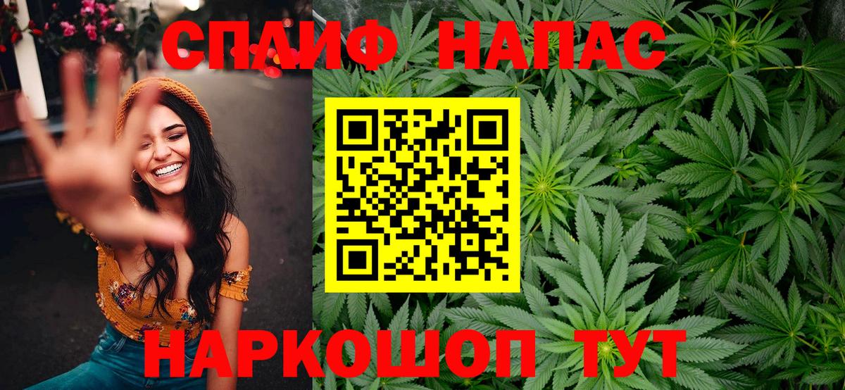 Шишки марихуана гибрид Шали